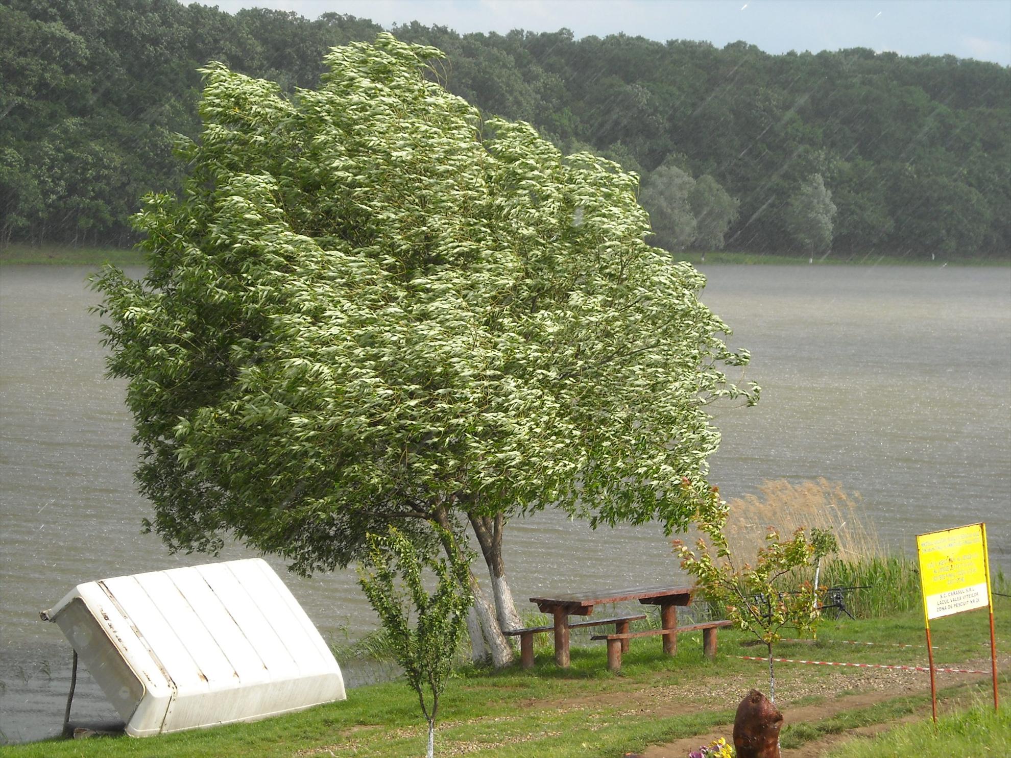 CN-2010-Cetariu - dscn3635.jpg